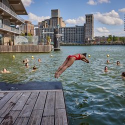 Zwemmen in de Rotterdamse Rijnhaven door Jan de Groen (bron: Swimmable Cities)