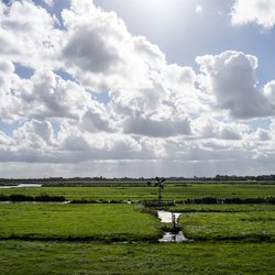 Alkmaar natuurgebied (Flickr) (bron: Flickr)