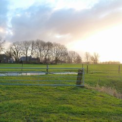 Omgeving