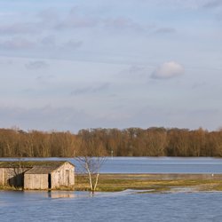 IJssel high water door Agami Photo Agency (bron: Shutterstock)